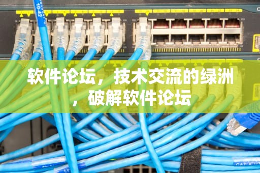 软件论坛，技术交流的绿洲，破解软件论坛