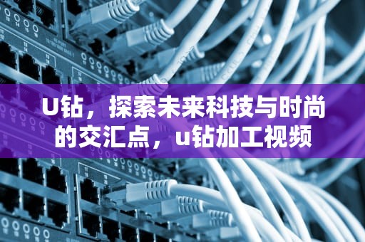 U钻，探索未来科技与时尚的交汇点，u钻加工视频