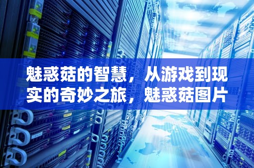 魅惑菇的智慧，从游戏到现实的奇妙之旅，魅惑菇图片