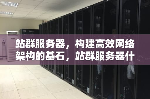 站群服务器，构建高效网络架构的基石，站群服务器什么意思