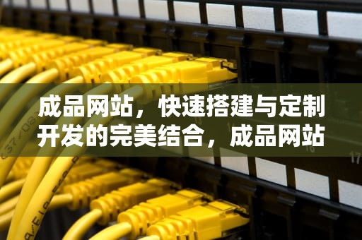 成品网站，快速搭建与定制开发的完美结合，成品网站货源入口