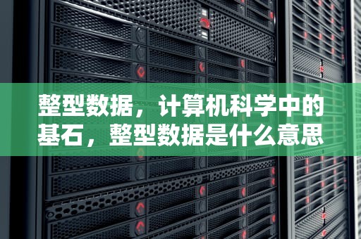 整型数据，计算机科学中的基石，整型数据是什么意思