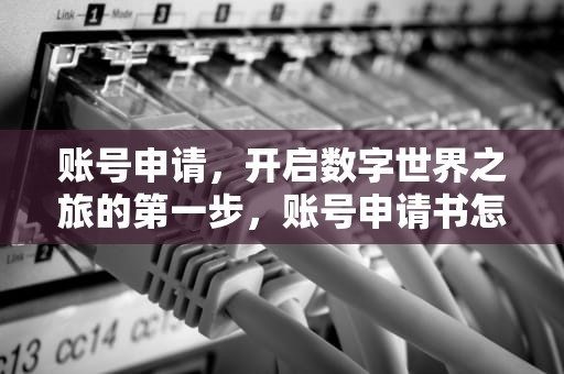 账号申请，开启数字世界之旅的第一步，账号申请书怎么写