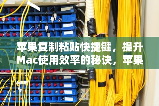 苹果复制粘贴快捷键，提升Mac使用效率的秘诀，苹果复制粘贴快捷键怎么用