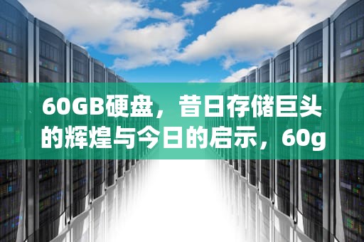 60GB硬盘，昔日存储巨头的辉煌与今日的启示，60g硬盘可以装win10吗
