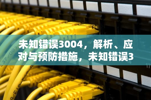 未知错误3004，解析、应对与预防措施，未知错误3004解决方法