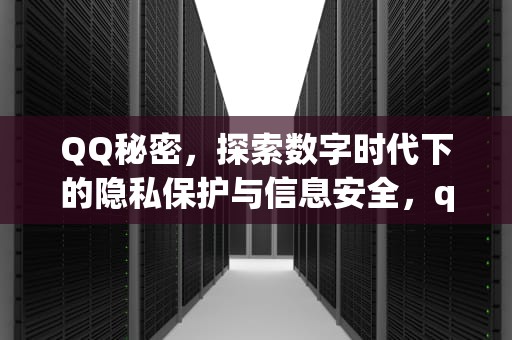 QQ秘密，探索数字时代下的隐私保护与信息安全，qq秘密在哪里可以找到