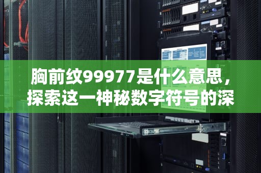胸前纹99977是什么意思，探索这一神秘数字符号的深层含义