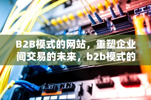 B2B模式的网站，重塑企业间交易的未来，b2b模式的网站有哪些