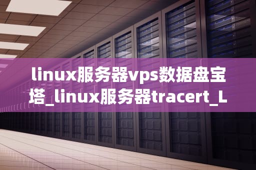 linux服务器vps数据盘宝塔_linux服务器tracert_Linux服务器VPS数据盘宝塔使用指南