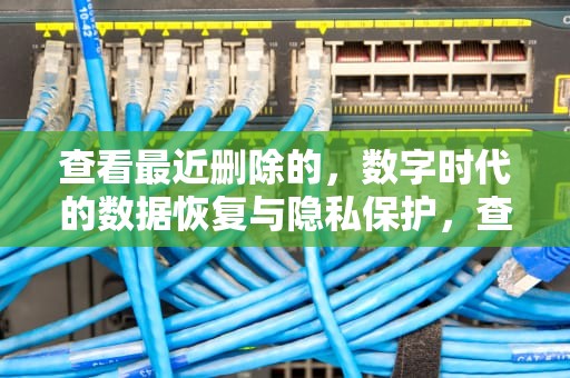 查看最近删除的，数字时代的数据恢复与隐私保护，查看最近删除的照片