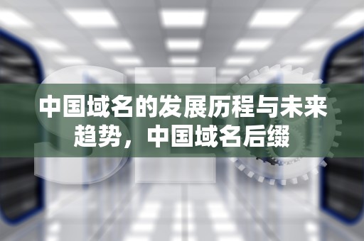 中国域名的发展历程与未来趋势，中国域名后缀
