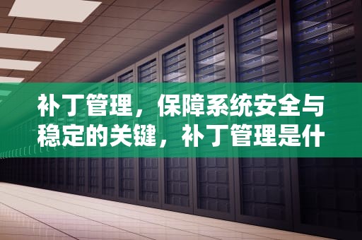补丁管理，保障系统安全与稳定的关键，补丁管理是什么意思