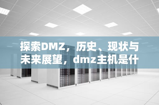 探索DMZ，历史、现状与未来展望，dmz主机是什么意思