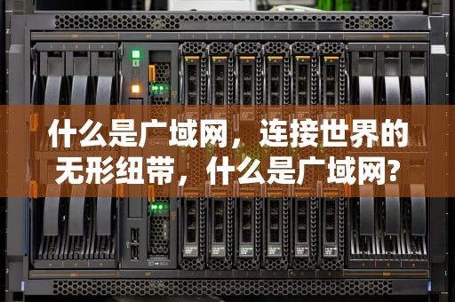 什么是广域网，连接世界的无形纽带，什么是广域网?它有哪些主要类型?典型的广域网有哪些?