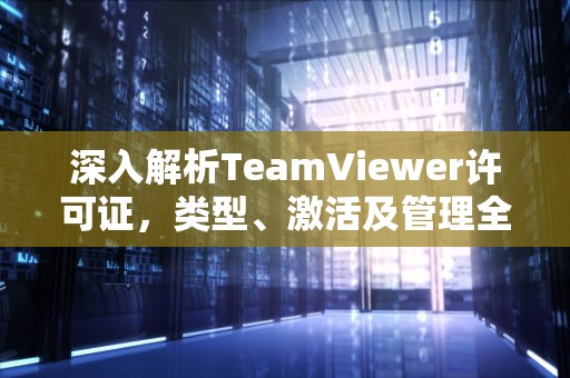 深入解析TeamViewer许可证，类型、激活及管理全攻略，teamviewer许可证限制