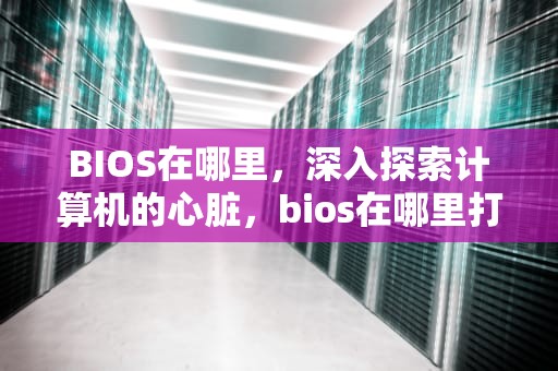 BIOS在哪里，深入探索计算机的心脏，bios在哪里打开