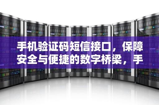 手机验证码短信接口，保障安全与便捷的数字桥梁，手机验证码短信接口的价格
