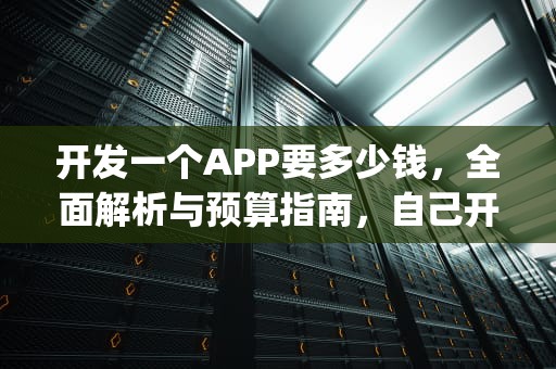 开发一个APP要多少钱，全面解析与预算指南，自己开发一个app要多少钱