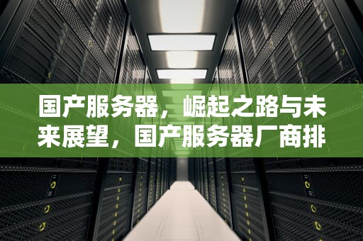 国产服务器，崛起之路与未来展望，国产服务器厂商排名