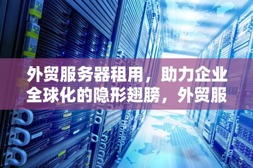 外贸服务器租用，助力企业全球化的隐形翅膀，外贸服务器租用多少钱一年啊