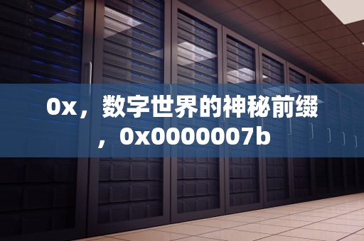 0x，数字世界的神秘前缀，0x0000007b