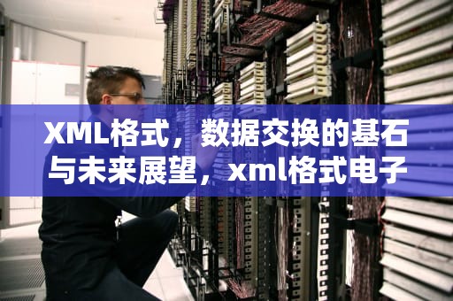 XML格式，数据交换的基石与未来展望，xml格式电子发票