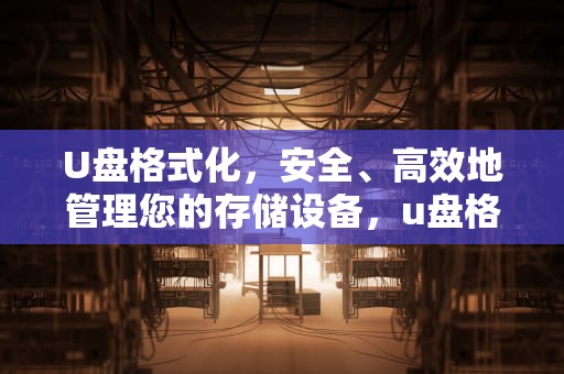 U盘格式化，安全、高效地管理您的存储设备，u盘格式化后数据能恢复吗