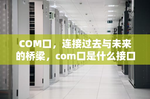 COM口，连接过去与未来的桥梁，com口是什么接口
