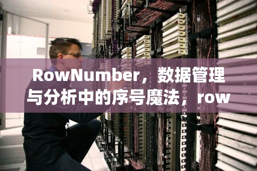 RowNumber，数据管理与分析中的序号魔法，rownumber over partition by