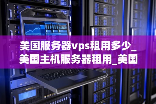 美国服务器vps租用多少_美国主机服务器租用_美国服务器VPS租用的全面指南