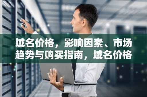 域名价格，影响因素、市场趋势与购买指南，域名价格评估