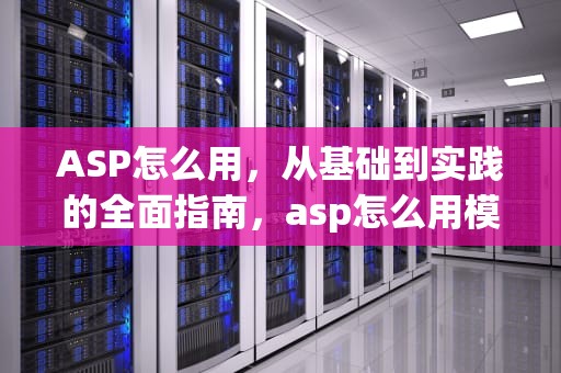 ASP怎么用，从基础到实践的全面指南，asp怎么用模板