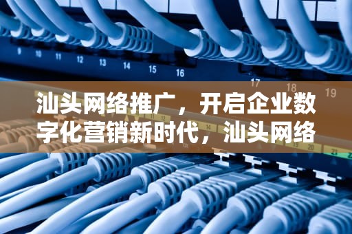 汕头网络推广，开启企业数字化营销新时代，汕头网络推广专员