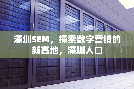 深圳SEM，探索数字营销的新高地，深圳人口