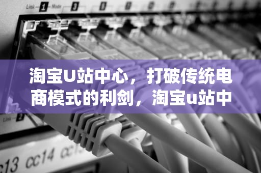淘宝U站中心，打破传统电商模式的利剑，淘宝u站中心首页
