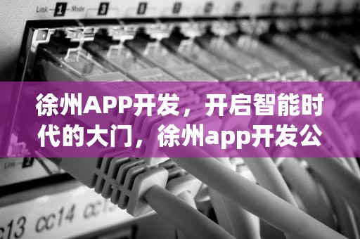 徐州APP开发，开启智能时代的大门，徐州app开发公司