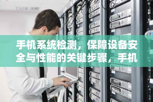 手机系统检测，保障设备安全与性能的关键步骤，手机系统检测设备异常