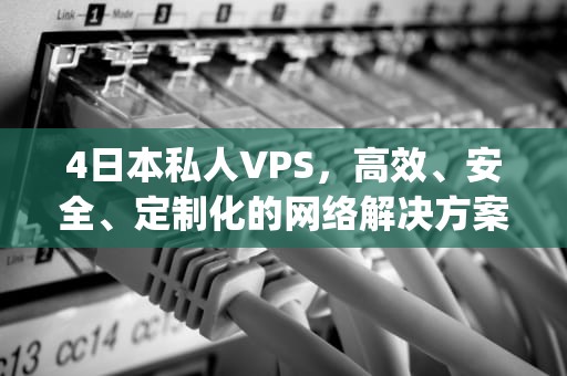 4日本私人VPS，高效、安全、定制化的网络解决方案，4日本私人vps一夜动漫