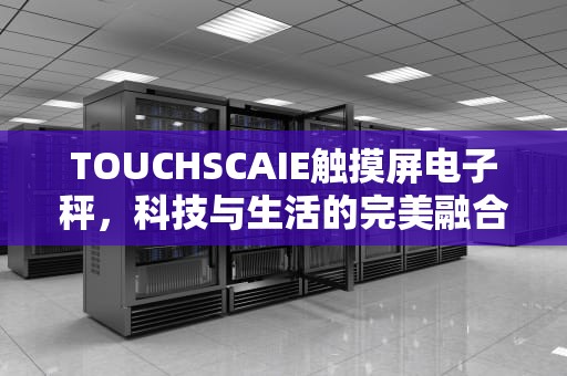 TOUCHSCAIE触摸屏电子秤，科技与生活的完美融合，touchscaie屏幕电子秤