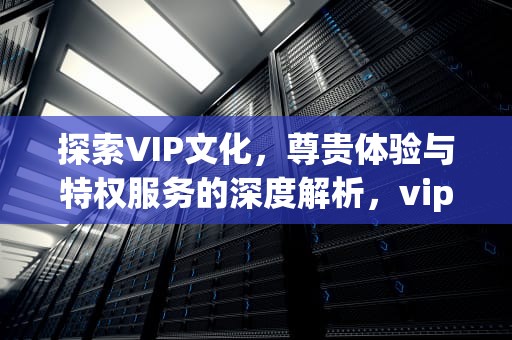 探索VIP文化，尊贵体验与特权服务的深度解析，vip会员货源批发网站