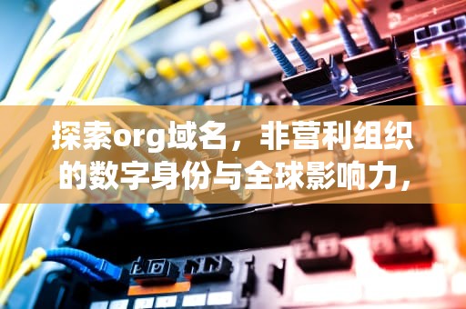 探索org域名，非营利组织的数字身份与全球影响力，org域名是什么网站