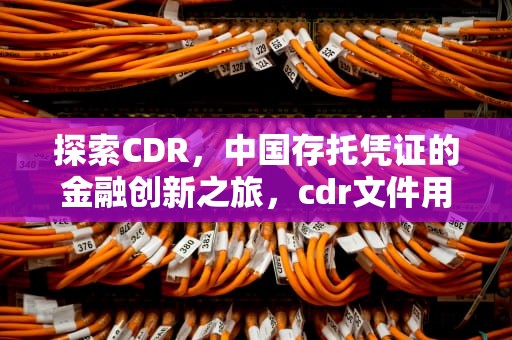 探索CDR，中国存托凭证的金融创新之旅，cdr文件用什么打开