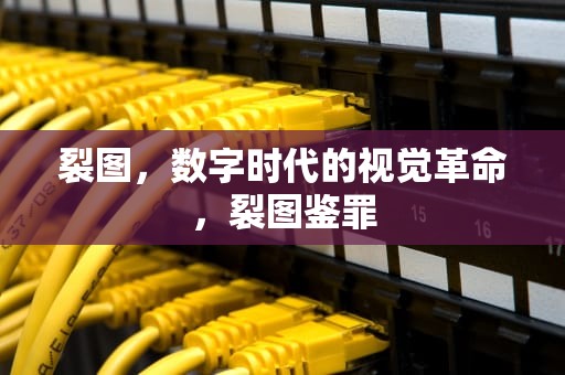 裂图，数字时代的视觉革命，裂图鉴罪