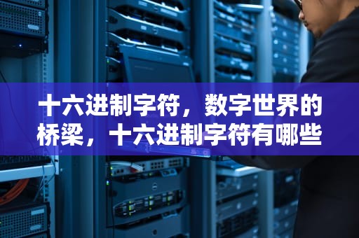 十六进制字符，数字世界的桥梁，十六进制字符有哪些