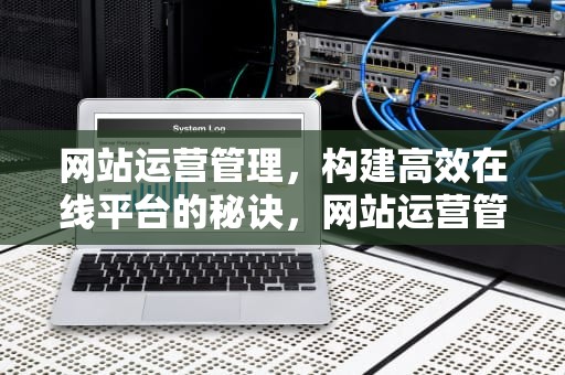 网站运营管理，构建高效在线平台的秘诀，网站运营管理主要内容