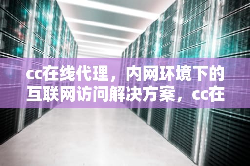 cc在线代理，内网环境下的互联网访问解决方案，cc在线代理网页代理