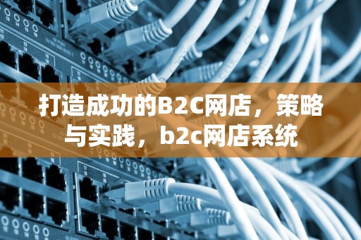 打造成功的B2C网店，策略与实践，b2c网店系统