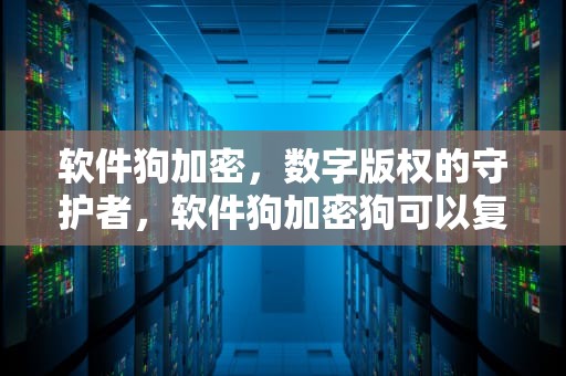 软件狗加密，数字版权的守护者，软件狗加密狗可以复制吗