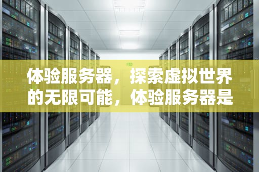体验服务器，探索虚拟世界的无限可能，体验服务器是什么意思